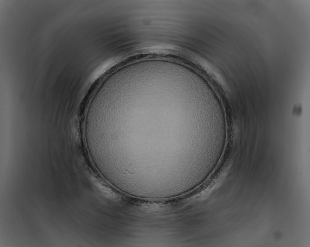 X0000101090970200807171844