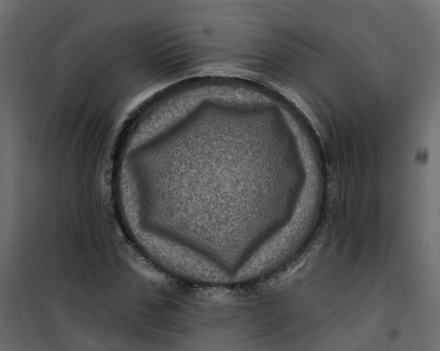 X0000101090971200807171844