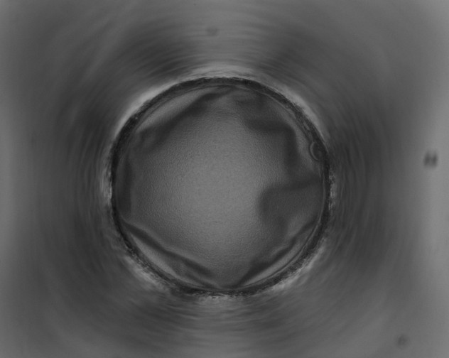 X0000101090973200807171844