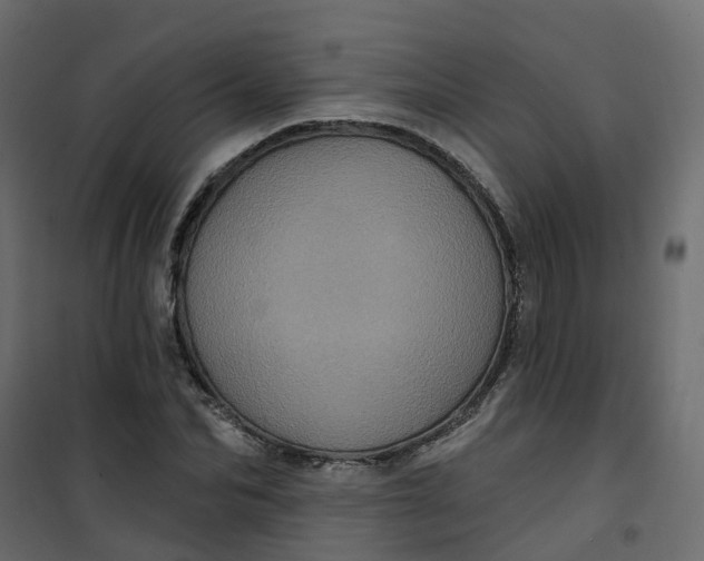 X0000101090974200807171843