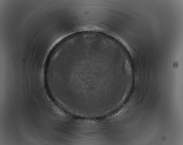 X0000101090975200807171843