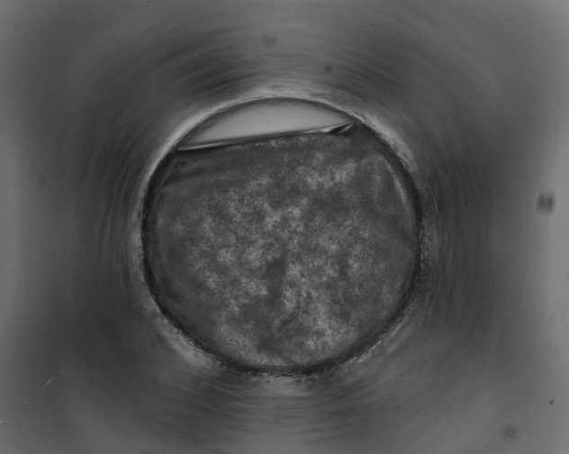 X0000101090976200807171843