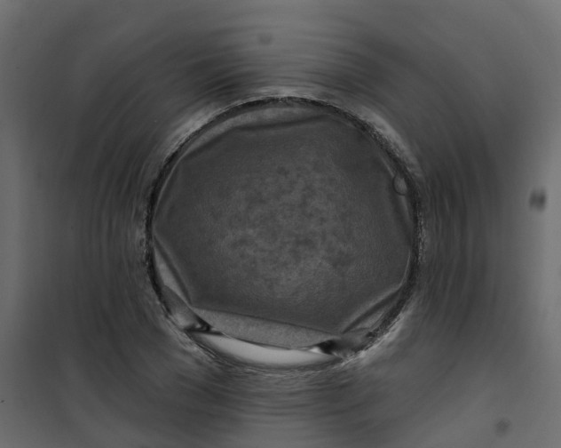 X0000101090977200807171843