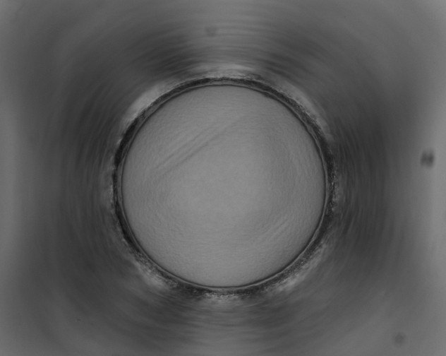 X0000101090978200807171843