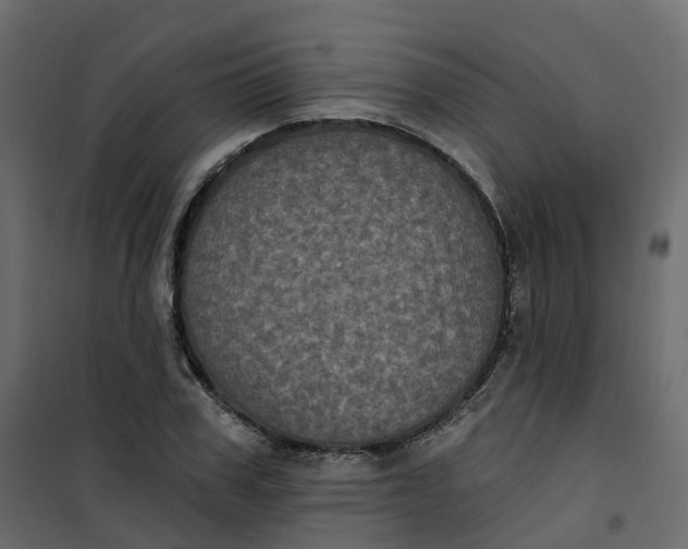 X0000101090979200807171843