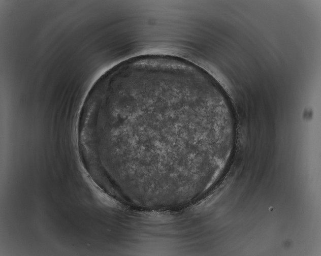 X0000101090980200807171843