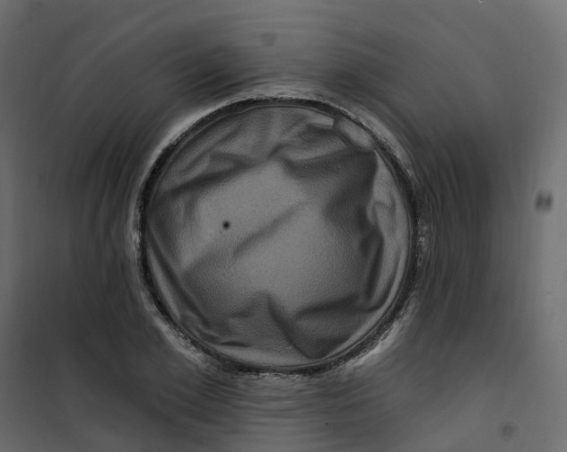 X0000101090981200807171843