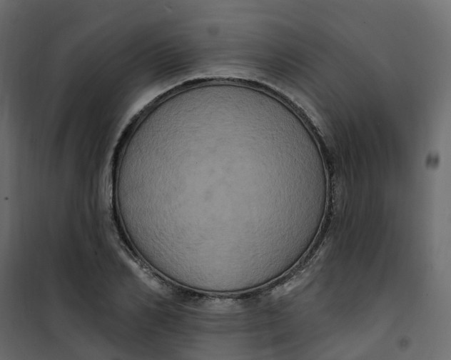 X0000101090982200807171843