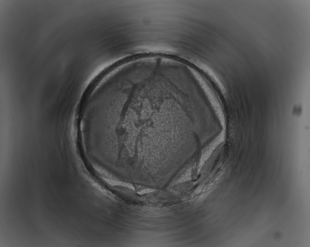 X0000101090983200807171843