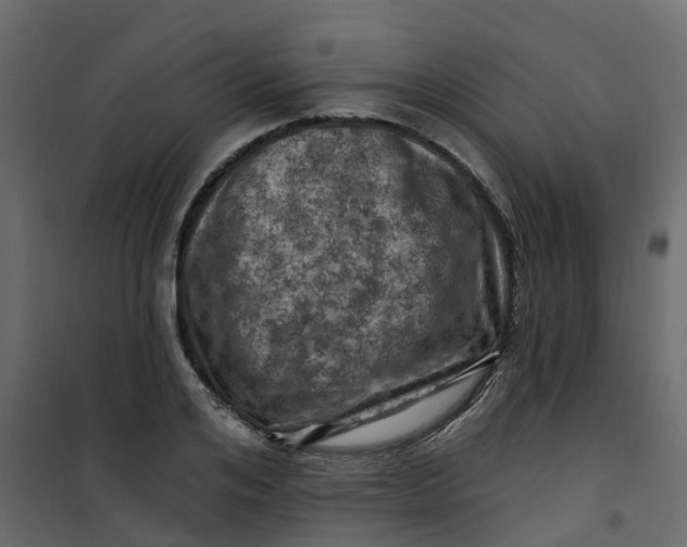 X0000101090984200807171843