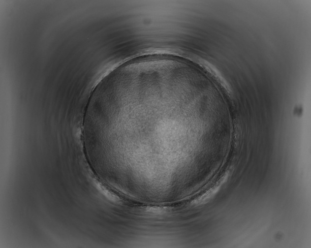 X0000101090985200807171843