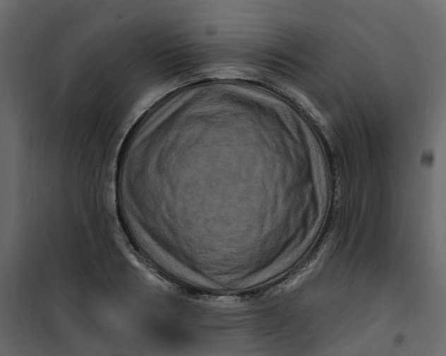 X0000101090986200807171843