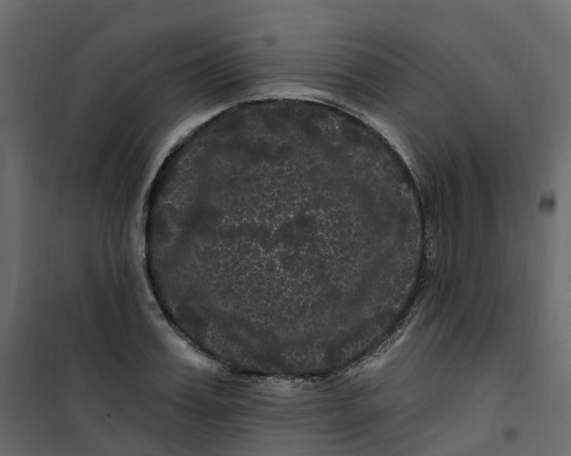 X0000101090987200807171843