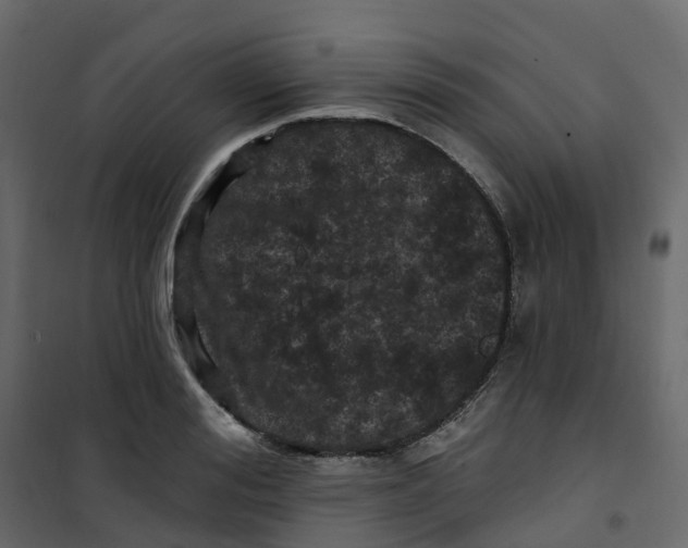 X0000101090988200807171843