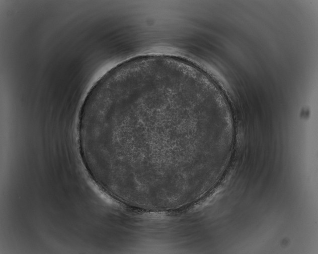 X0000101090990200807171843