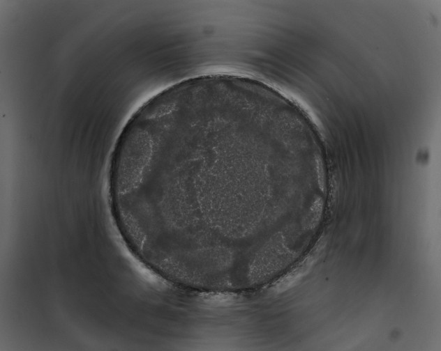 X0000101090991200807171843