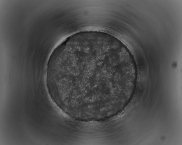 X0000101090992200807171843