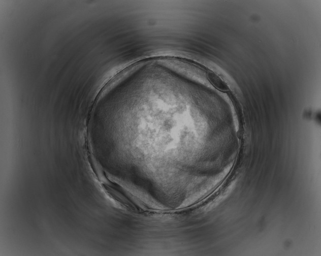 X0000101090993200807171843