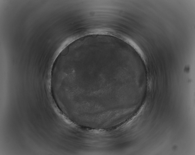 X0000101090994200807171843