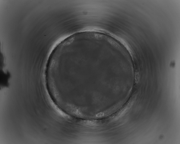 X0000101090995200807171843