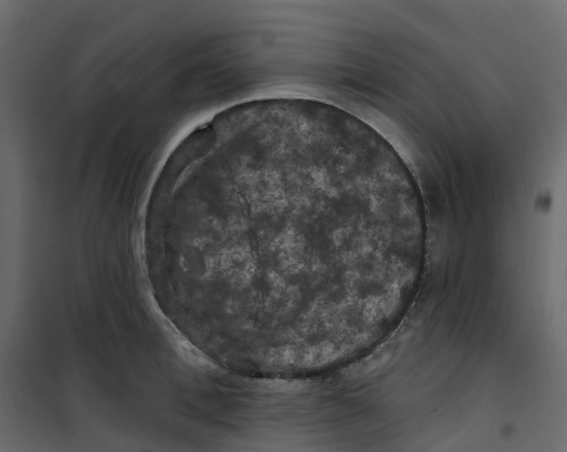 X0000101090996200807171843