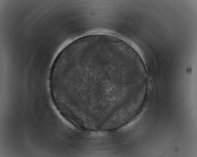 X0000101090997200807171843