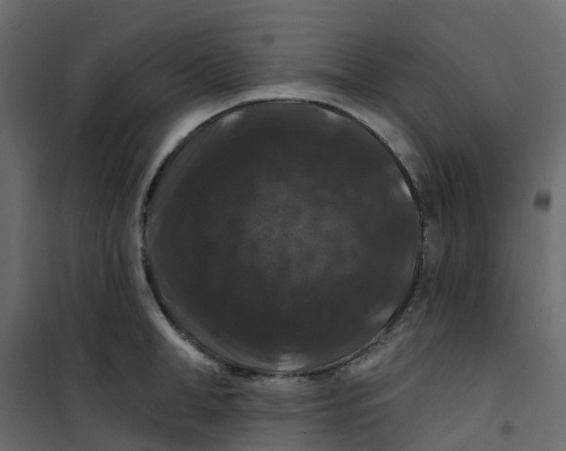 X0000101090998200807171843