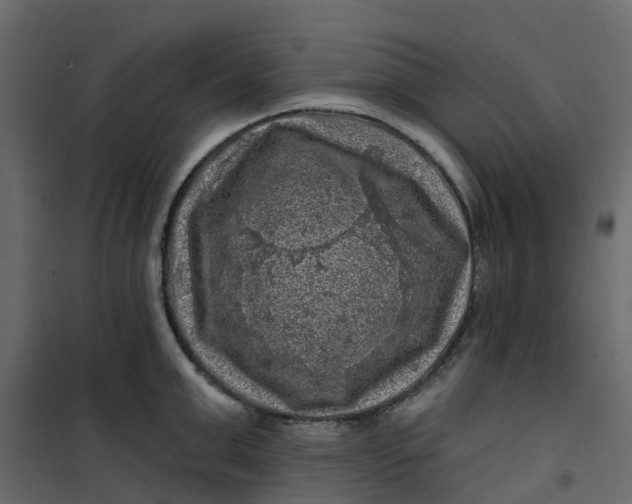 X0000101090999200807171843