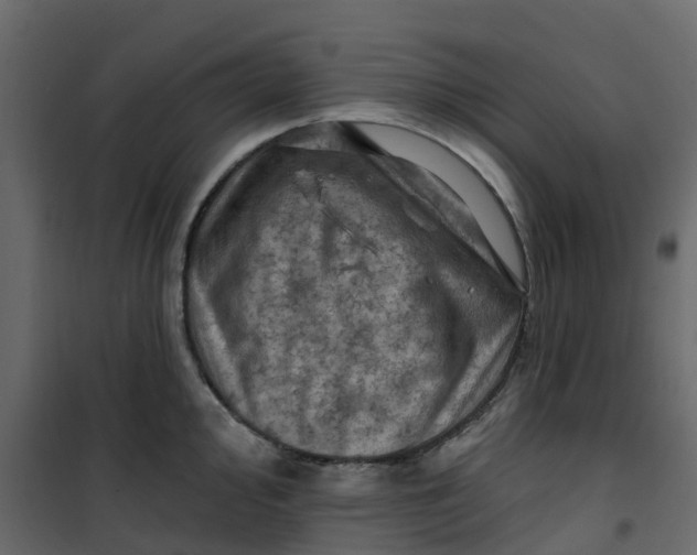 X0000101091000200807171843