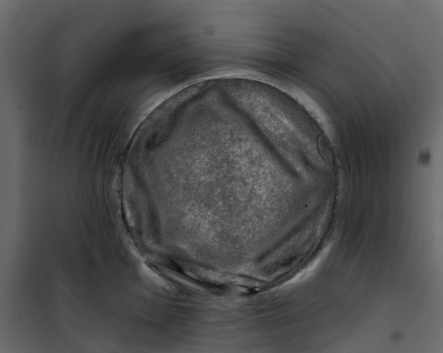 X0000101091001200807171843