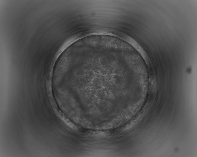 X0000101091002200807171843