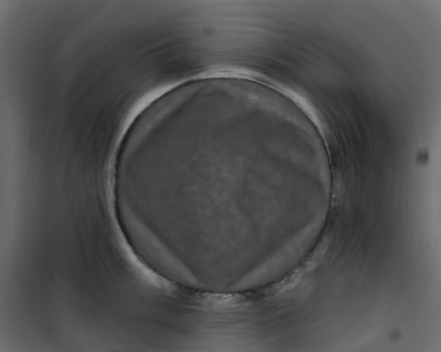 X0000101091003200807171843