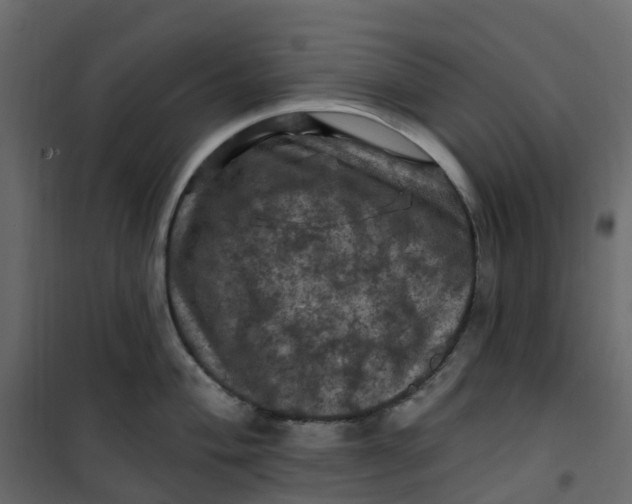 X0000101091004200807171843