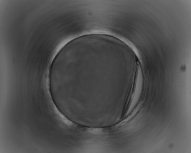 X0000101091006200807171843