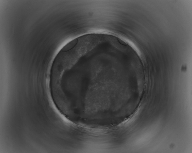 X0000101091007200807171843