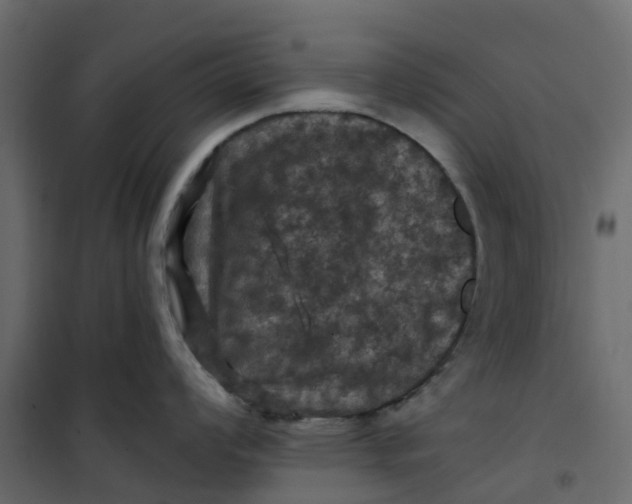 X0000101091008200807171843