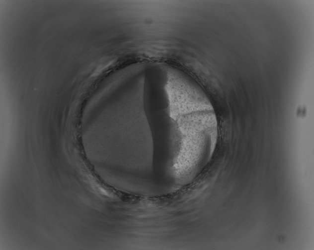 X0000101091009200807171842