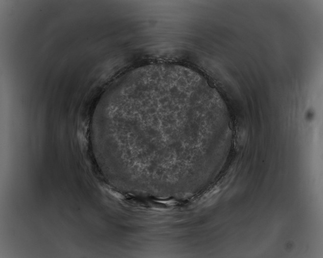 X0000101091010200807171842