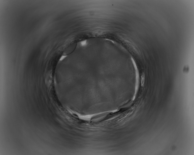 X0000101091011200807171842