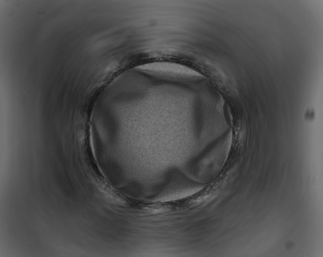 X0000101091012200807171842