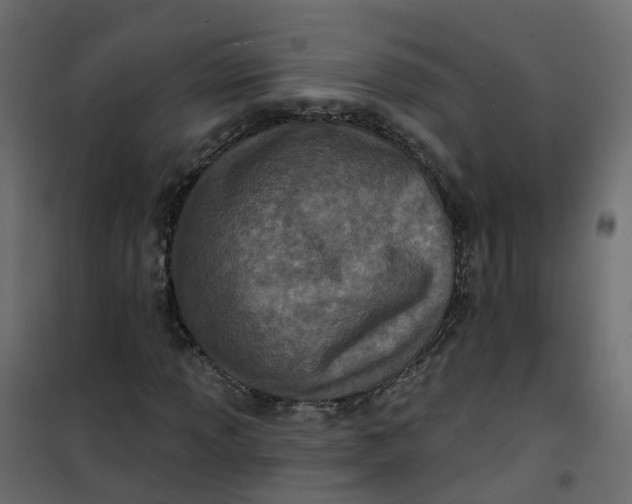 X0000101091013200807171842