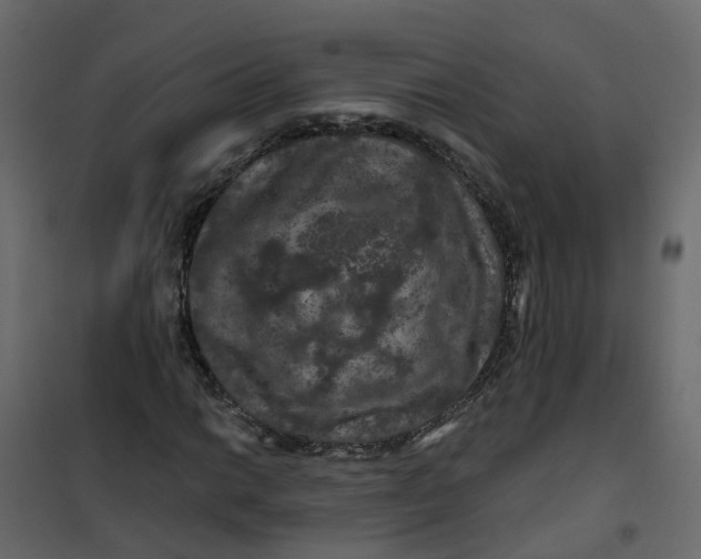 X0000101091014200807171842