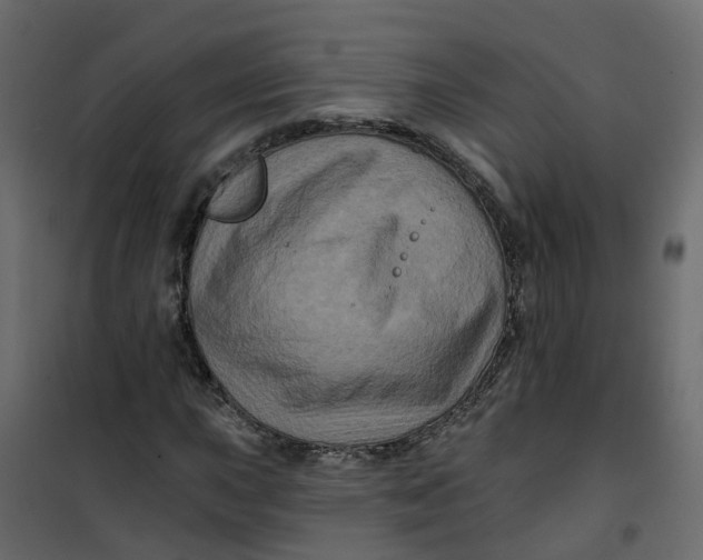 X0000101091015200807171842