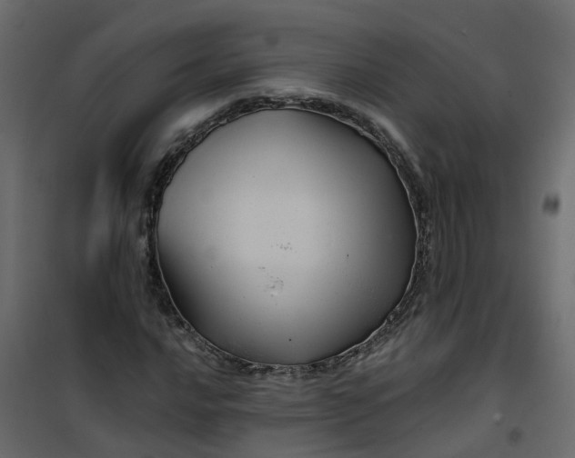 X0000101091016200807171842