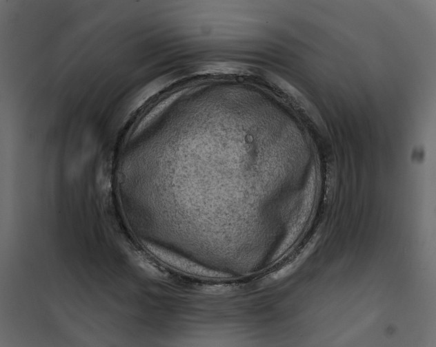 X0000101091017200807171842