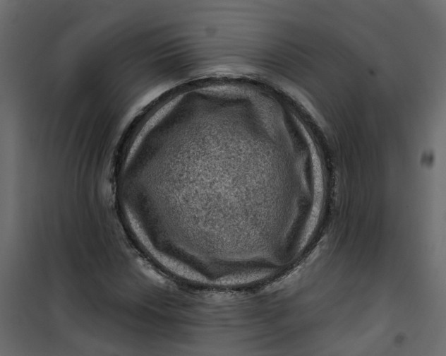 X0000101091018200807171842