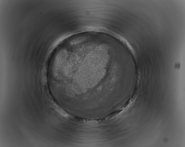 X0000101091019200807171842