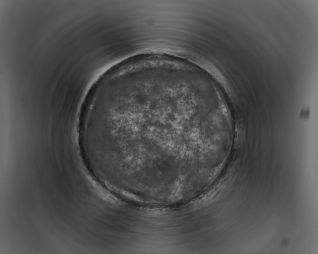 X0000101091020200807171842