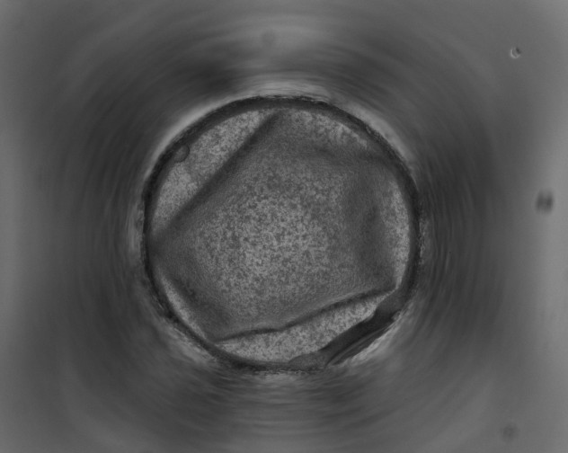 X0000101091021200807171842