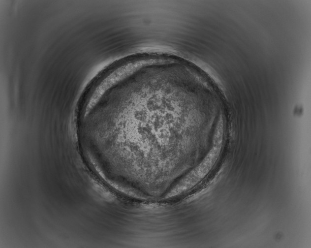 X0000101091022200807171842